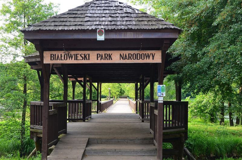 Bialowieza Nationalpark