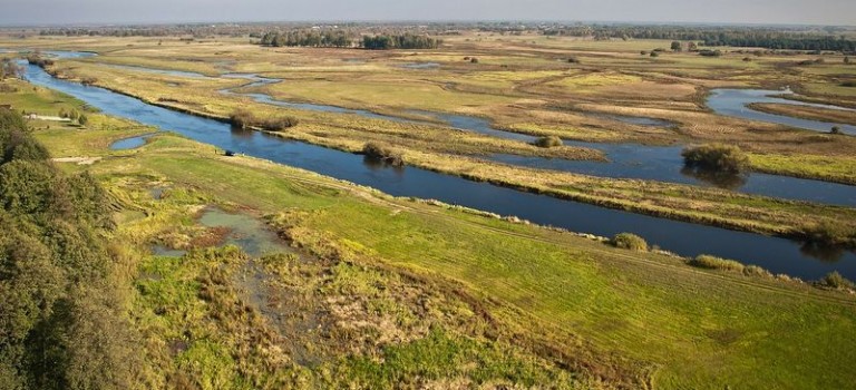Der Biebrza Nationalpark