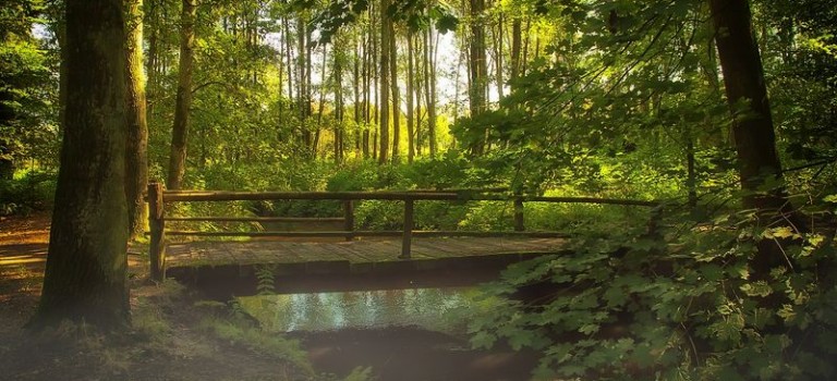 Der Bory Tucholskie Nationalpark