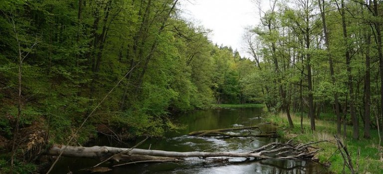 Der Drawienski Nationalpark