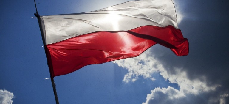 Der polnische Staat und die Gesellschaft