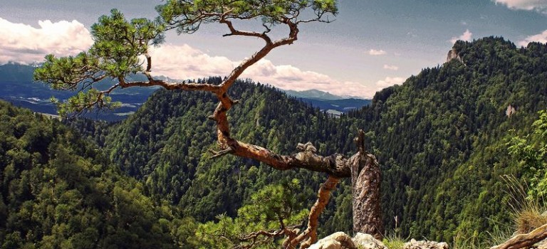 Der Pieniny Nationalpark