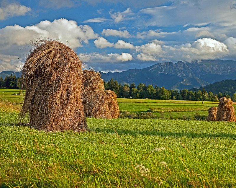 Regionen – Die 16 Wojewodschaften von Polen mit Karten