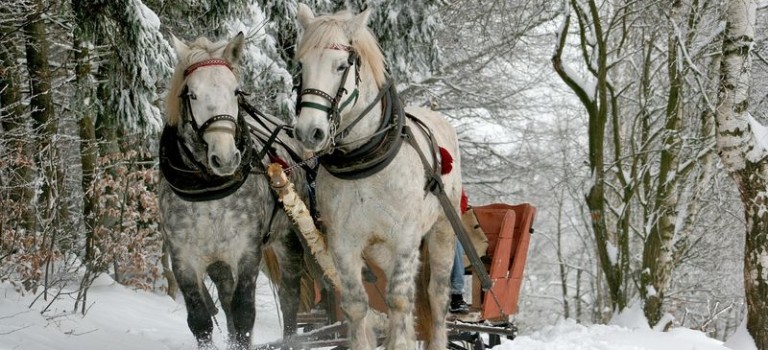 Schlittenfahrten in Polen