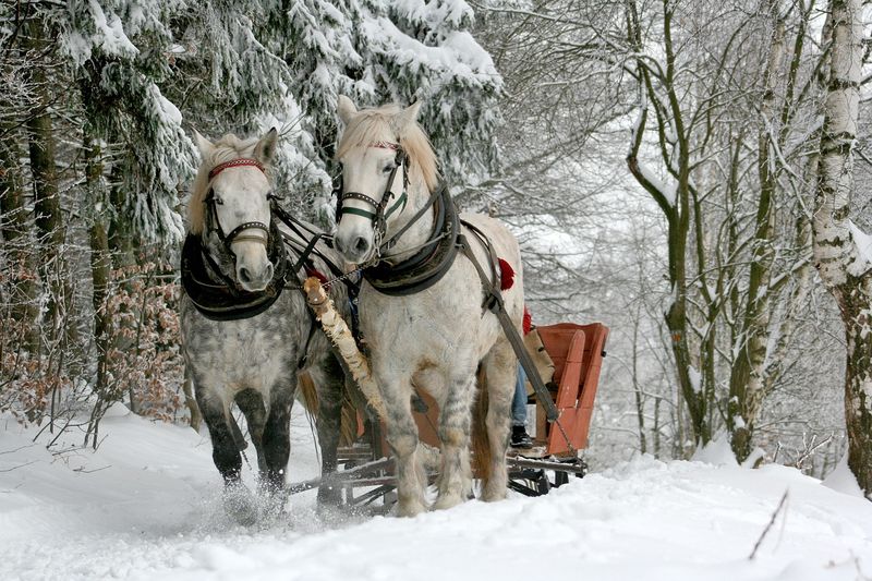 Schlittenfahrten in Polen