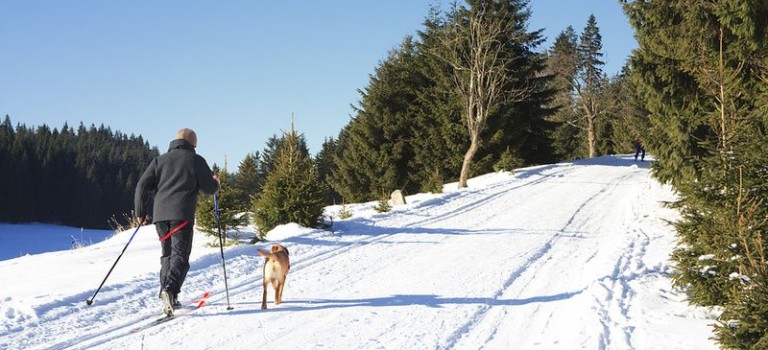 Skilanglauf in Polen