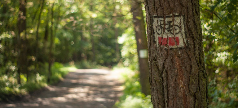 Radfernwanderwege in Polen erkunden